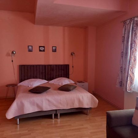 Pensiunea Vila Dana Kaloşvar Dış mekan fotoğraf