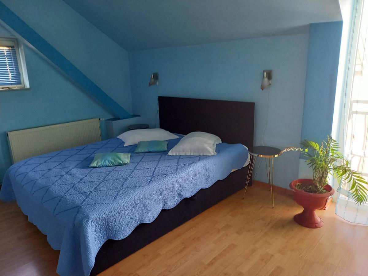 Pensiunea Vila Dana Kaloşvar Dış mekan fotoğraf